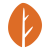 09640c80-9d5a-11e9-aa38-39295f3dc541